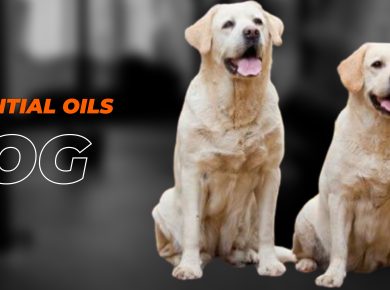 NOW Essential Oils for dogs.